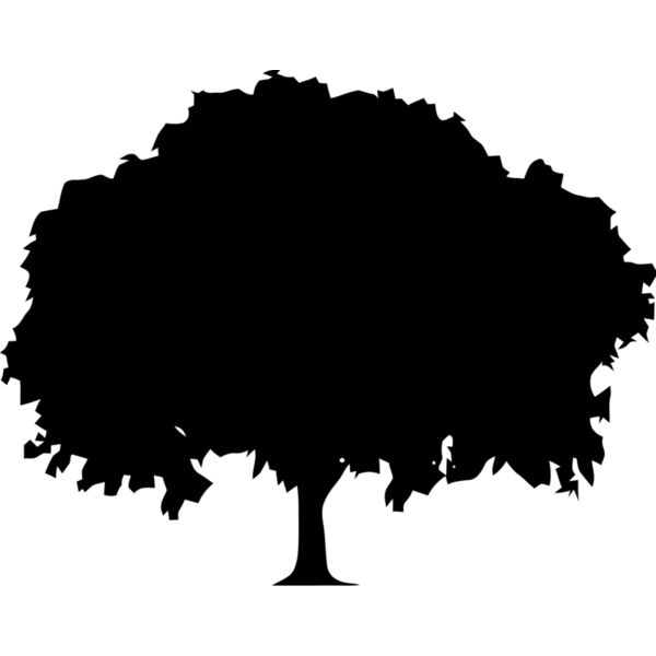 Tree 4 Thumbnail